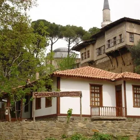 بيت ضيافة Birgi Cinaralti