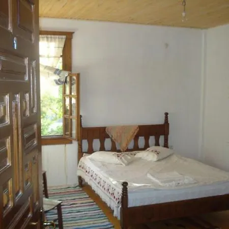 بيت ضيافة Birgi Cinaralti