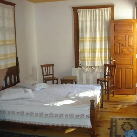 Birgi Cinaralti أوديميش