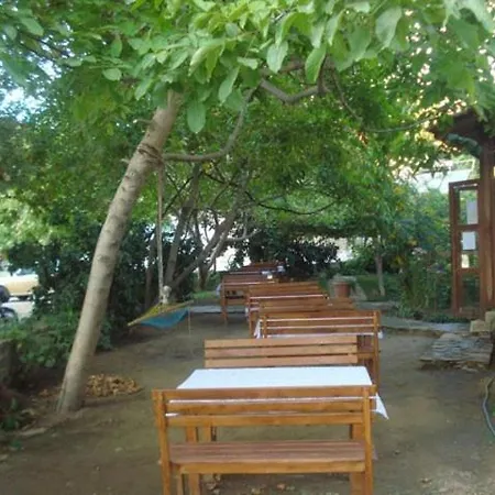 Birgi Cinaralti * أوديميش