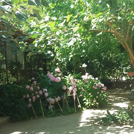 بيت ضيافة Birgi Cinaralti *