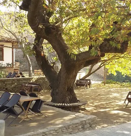 Birgi Cinaralti أوديميش