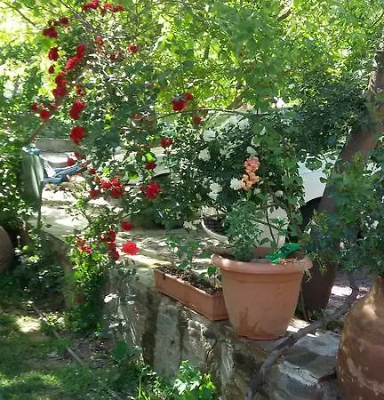 بيت ضيافة Birgi Cinaralti *