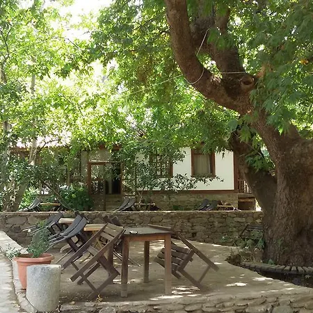 بيت ضيافة Birgi Cinaralti *