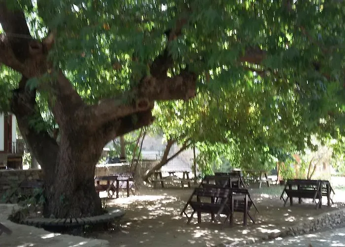 Penzion Birgi Cinaralti