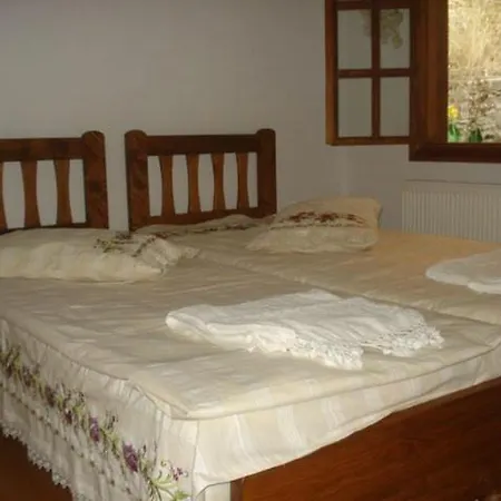 Pensiune Birgi Cinaralti