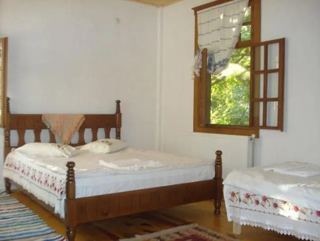 Birgi Cinaralti Pensionat Odemis