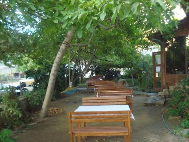 Birgi Cinaralti * Odemis