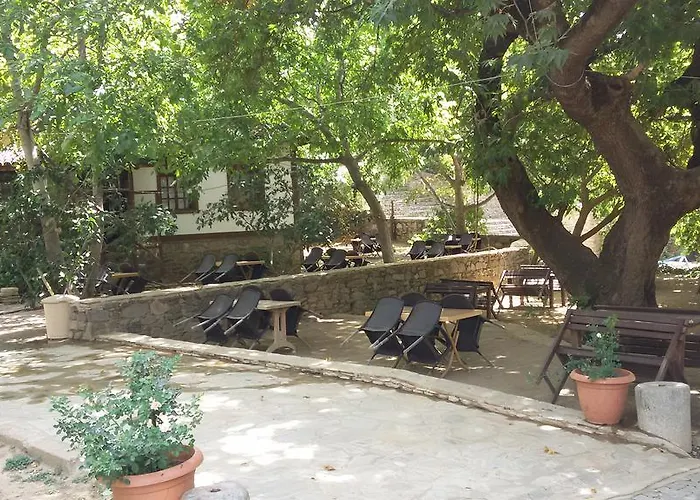 Pensionat Birgi Cinaralti *