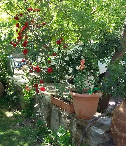 Pensionat Birgi Cinaralti *