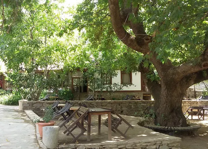 Pensionat Birgi Cinaralti *